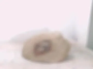 toadboys's Thumb Image