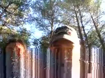 willy_est_95 Image 18